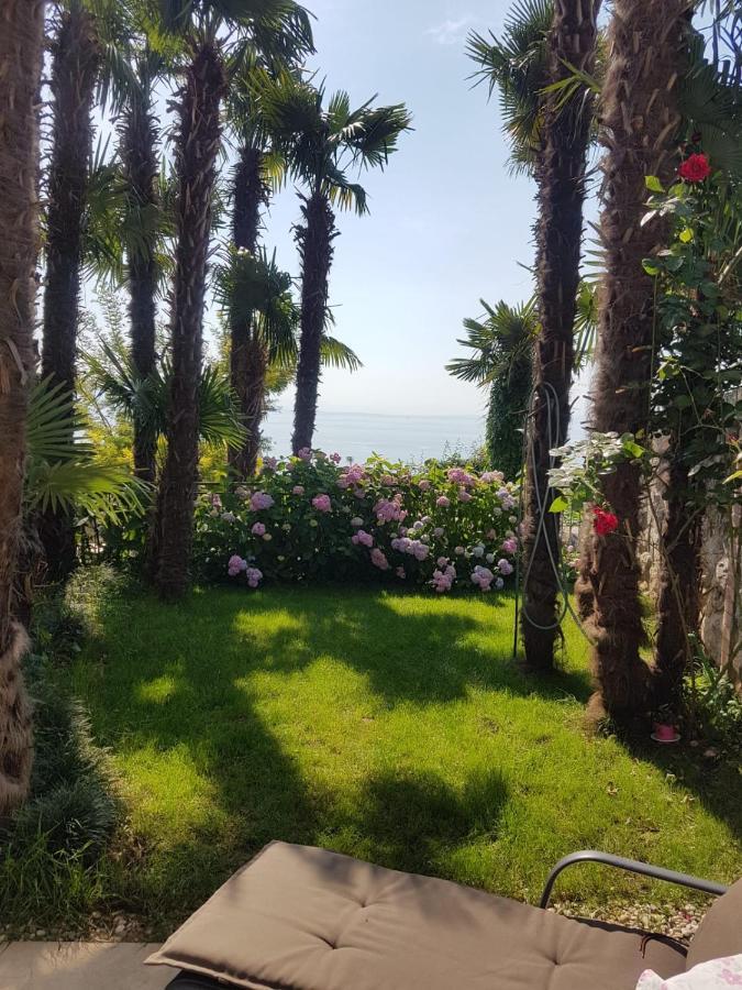 Beautiful View 3 *
